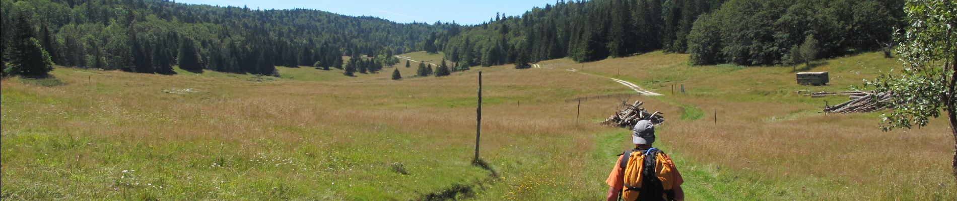 Percorso Marcia Vassieux-en-Vercors - Crête des Gagères et Font d'Urle - Photo