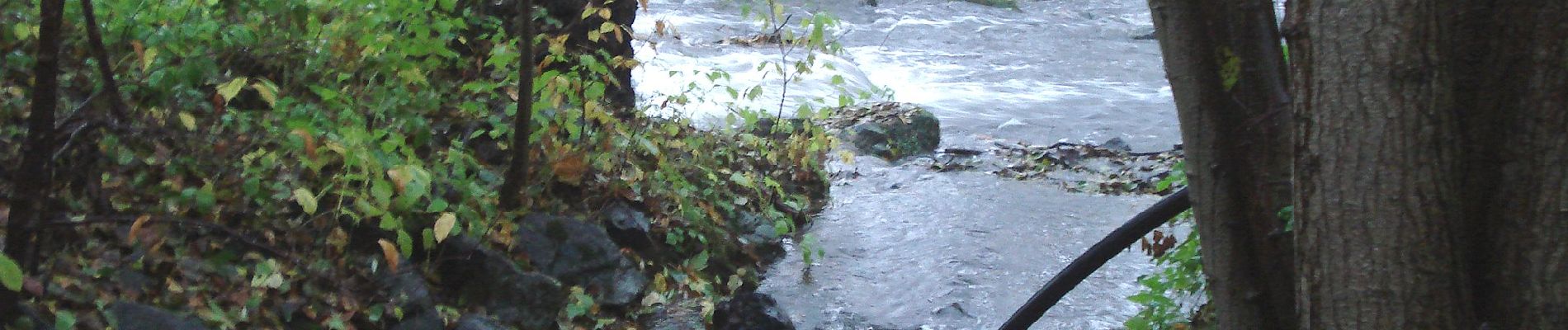 Randonnée A pied Eichenbühl - Rundwanderweg Eichenbühl Kohlgrund 1: Haseltrieb-Weg - Photo