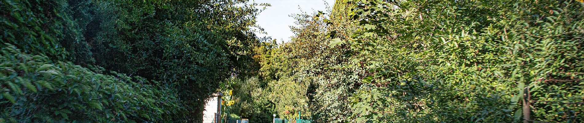 Percorso A piedi Boskovice - Doubravský okruh - Photo