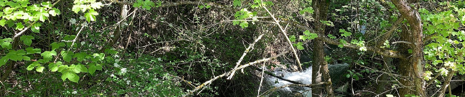 Percorso A piedi Savines-le-Lac - Walk from Savines through exercise park - Photo