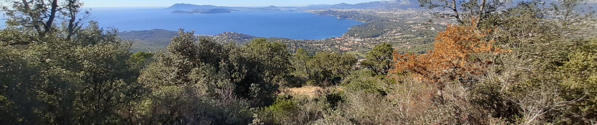 Excursión Senderismo Le Pradet - LA COLLE NOIRE un petit cumul de dénivelé.  - Photo