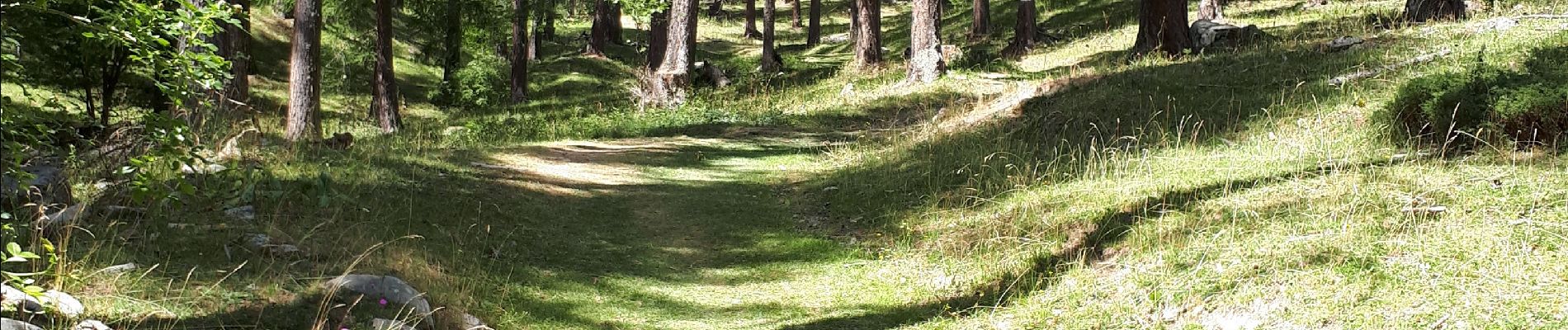 Randonnée Marche Embrun - La cabane de Séyères - Photo