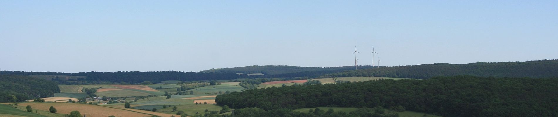 Excursión A pie Otzberg - Parkplatzrundwanderweg Bettelmannsbuche 6 : Tannenberg-Weg - Photo