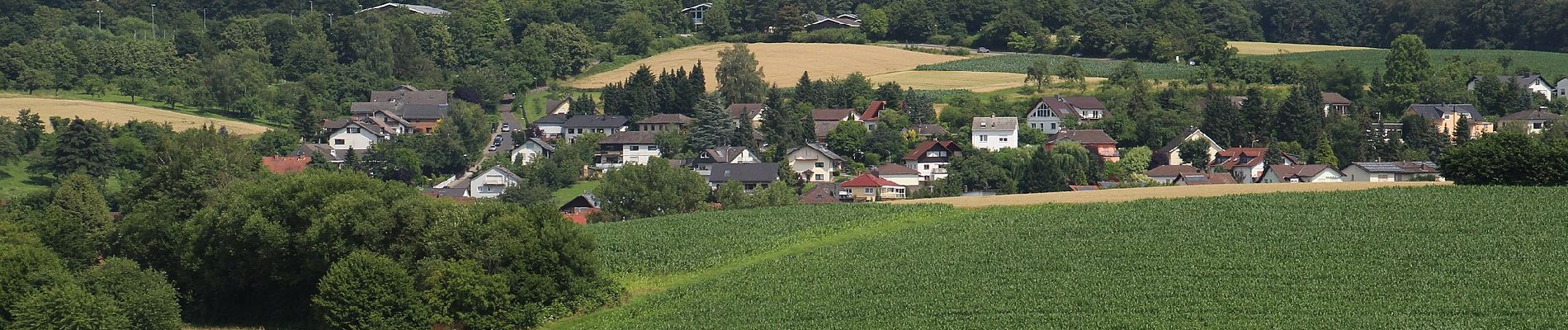 Tocht Te voet Gründau - Wanderwege im Ronneburger Wald Nr.2 - Photo