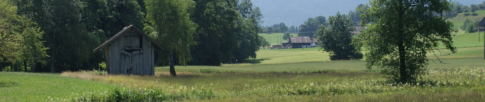 Randonnée A pied Wädenswil - Schlieregg - Schönenberg - Photo