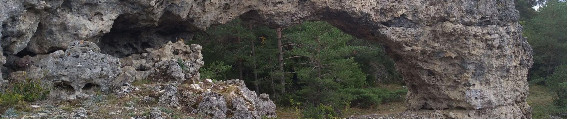 Tocht Stappen Nant - Canalettes du Larzac - Sources du Dourzon - Photo