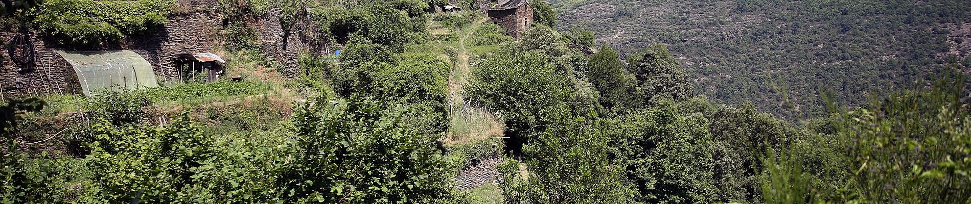 Excursión A pie Saint-Germain-de-Calberte - Sentier des Rocs de Galta - Photo