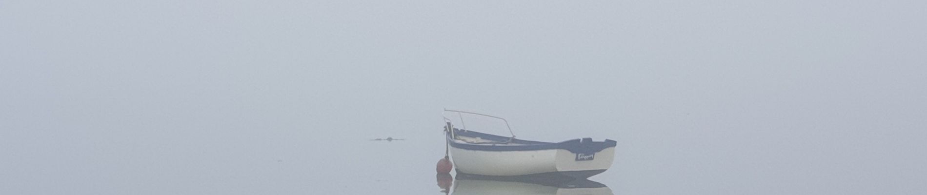 Tocht Stappen Landéda - Aber Wrac'h - Photo