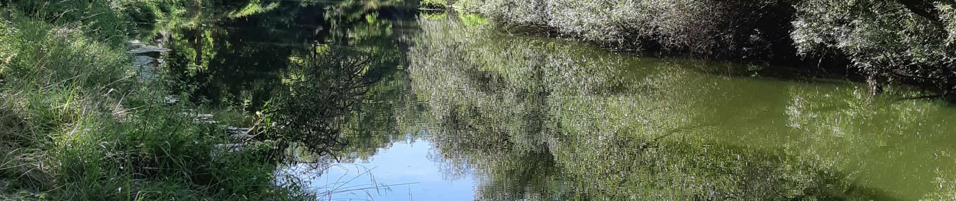 Tour Laufen Varangéville - solvay arriere - Photo