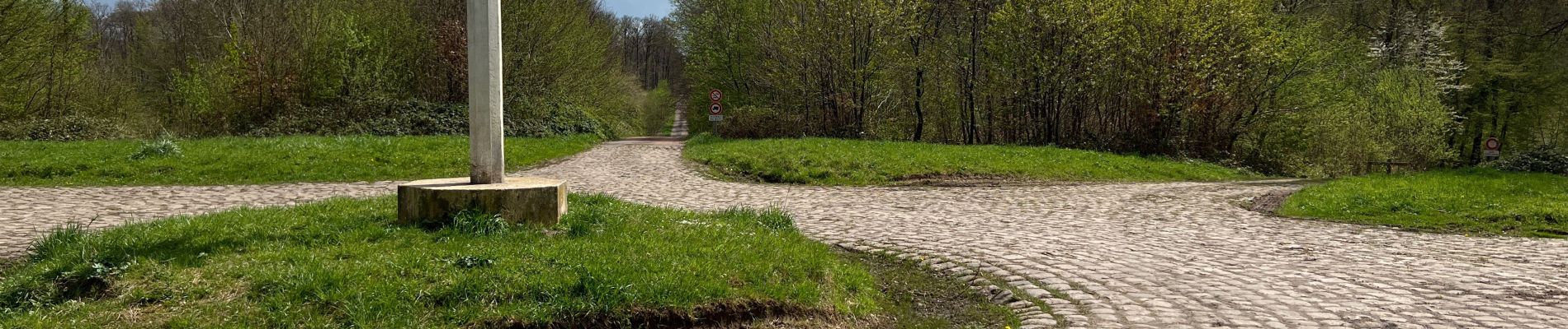 Tour Wandern Ormoy-le-Davien - Boucle départ Ormoy le Davien 60620 - Foret de Retz - Photo