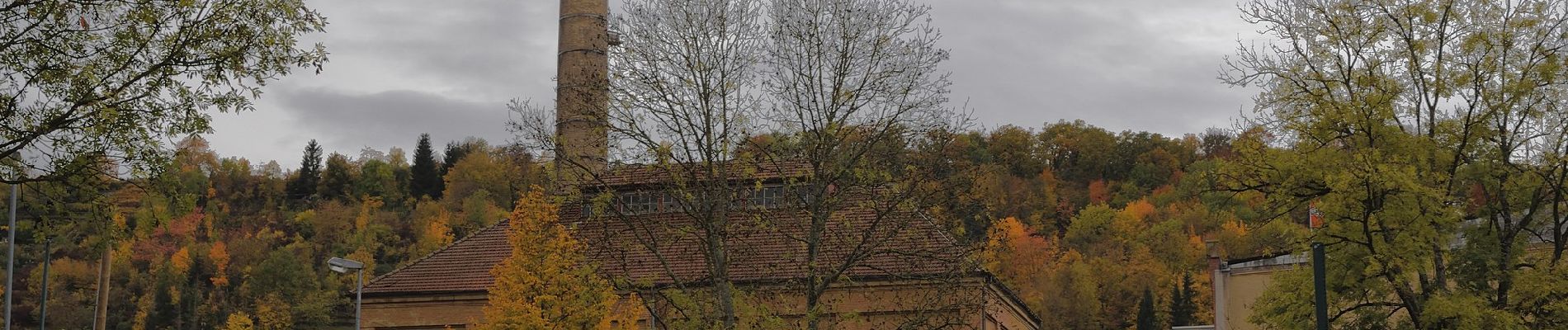 Tour Zu Fuß Löchgau - Blauer Punkt Löchgau - Bietigheim - Photo