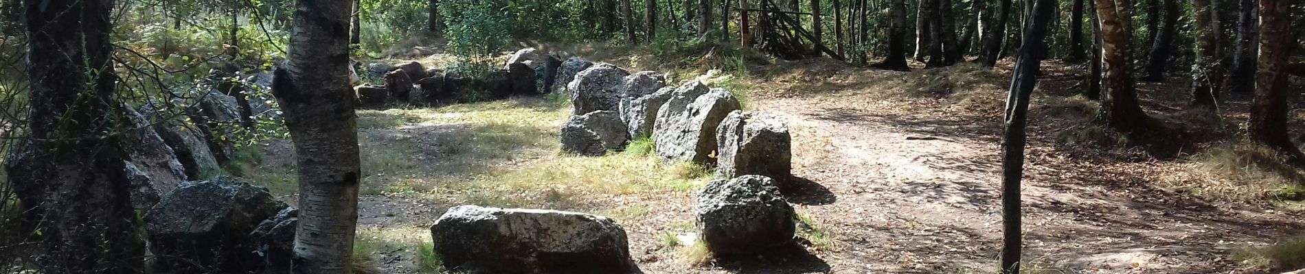 Tocht Stappen Néant-sur-Yvel - TUMULUS DU JARDIN AUX MOINES (9/20) - Photo