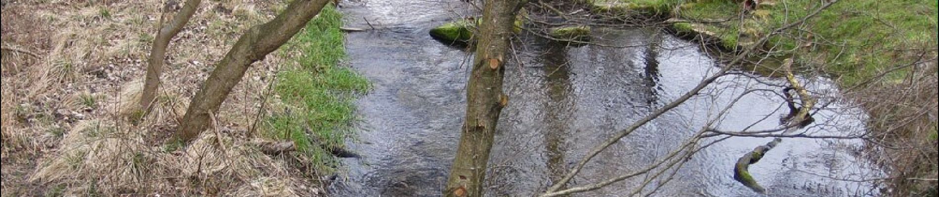 Randonnée A pied Ryedale - Dalby Beck Red Trail - Photo