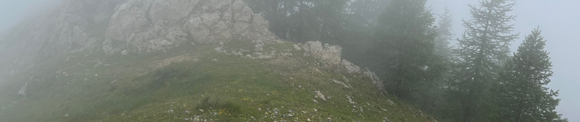 Excursión Senderismo Roure - Mont Gravières - Photo