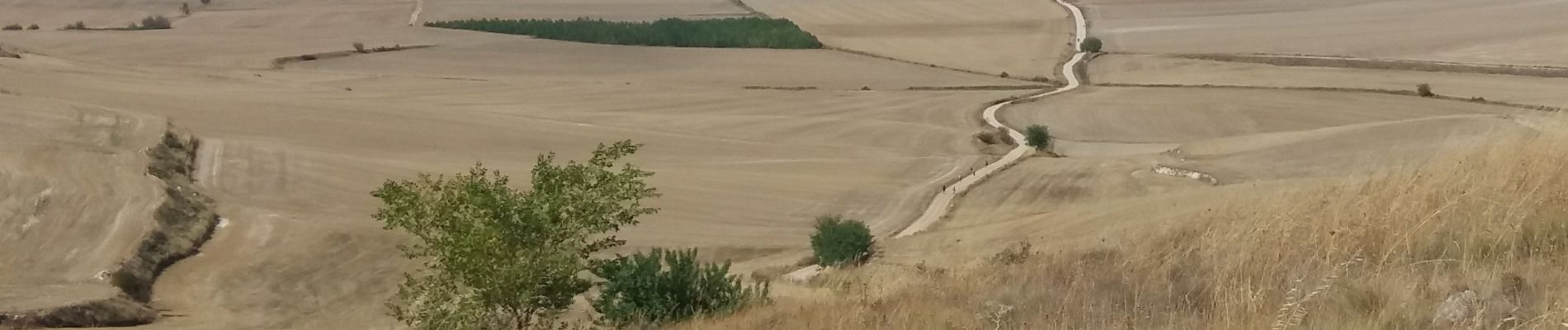 Randonnée Marche Burgos - Hornillos del Camino  - Photo