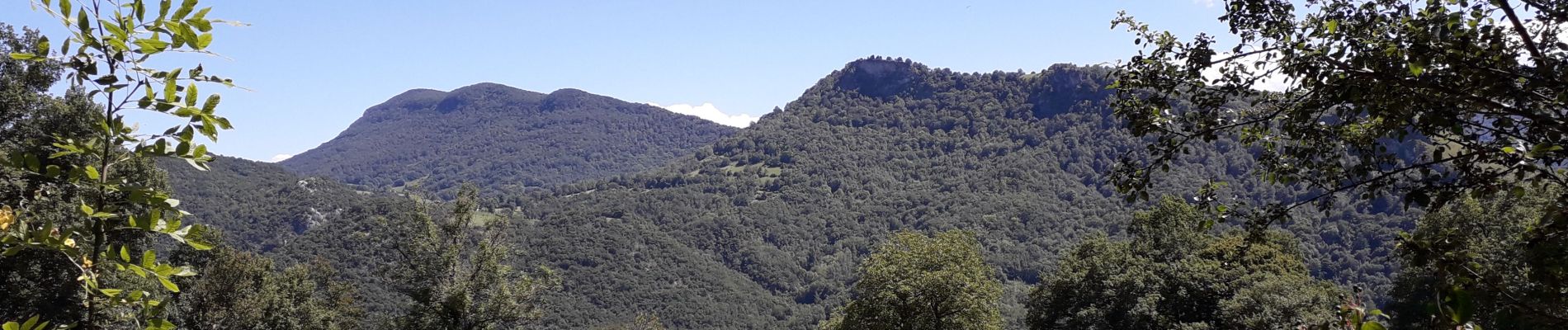 Trail Mountain bike Saint-Girons - st girons - Photo