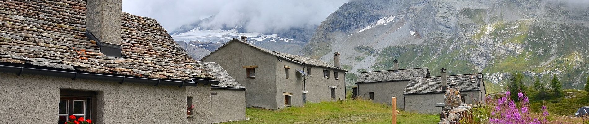 Percorso A piedi Simplon - Rundweg Simplon-Bergalpe - Photo