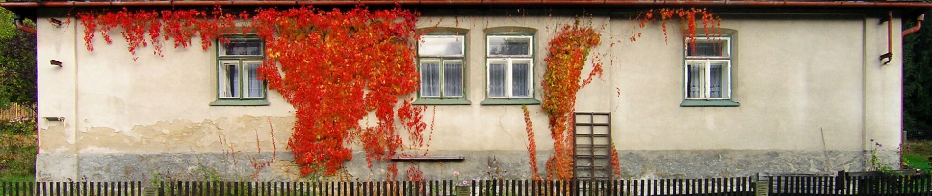 Randonnée A pied Trpišovice - [Ž] Melechov - Stvořidla - Photo