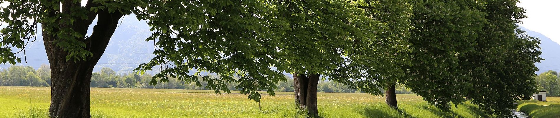 Percorso A piedi Gemeinde Ebbs - Fohlenhof-Runde - Photo