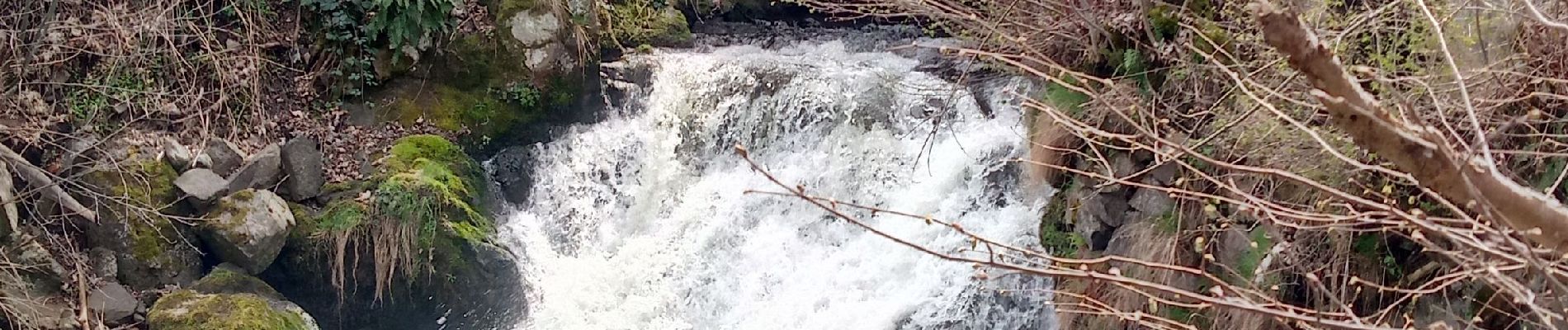 Randonnée Marche Besse-et-Saint-Anastaise - Cascades de Chiloza - Photo