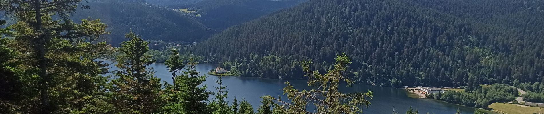 Tour Mountainbike Gerdsee - Gérardmer Haie Griselle Liezey - Photo