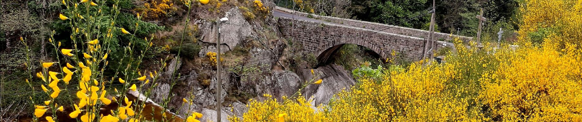 Excursión Senderismo Dornas - la Ronde des hameaux  - Photo