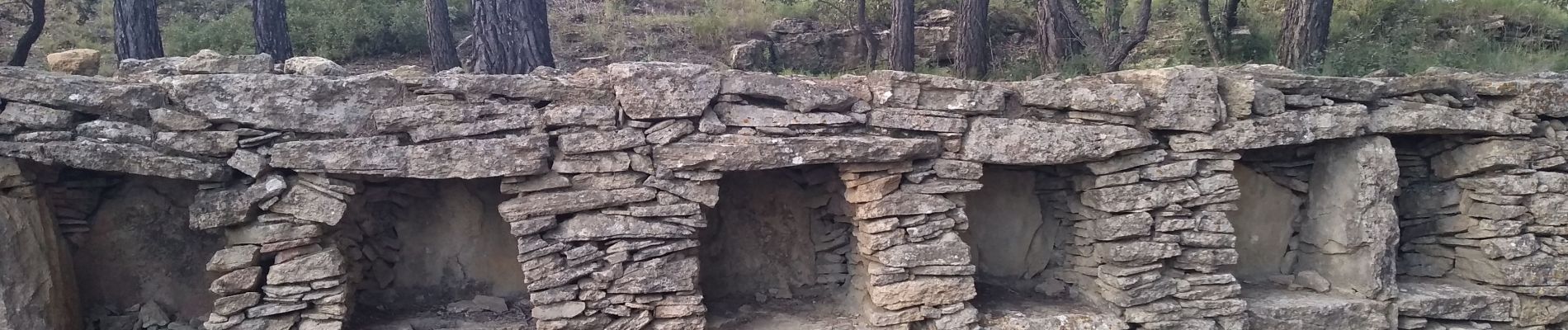 Tocht Stappen Cornillon-Confoux - Cornillon Confoux : Bories et mur des abeilles - Photo