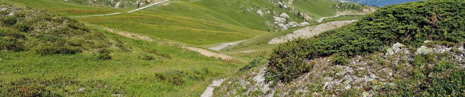 Trail Walking La Plagne-Tarentaise - La Plagne Village Lac des Blanchets (boucle) - Photo