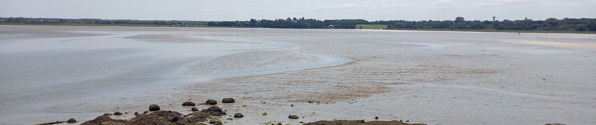 Tocht Stappen Saint-Jacut-de-la-Mer - St Jacut de la Mer 7.7.23 - Photo