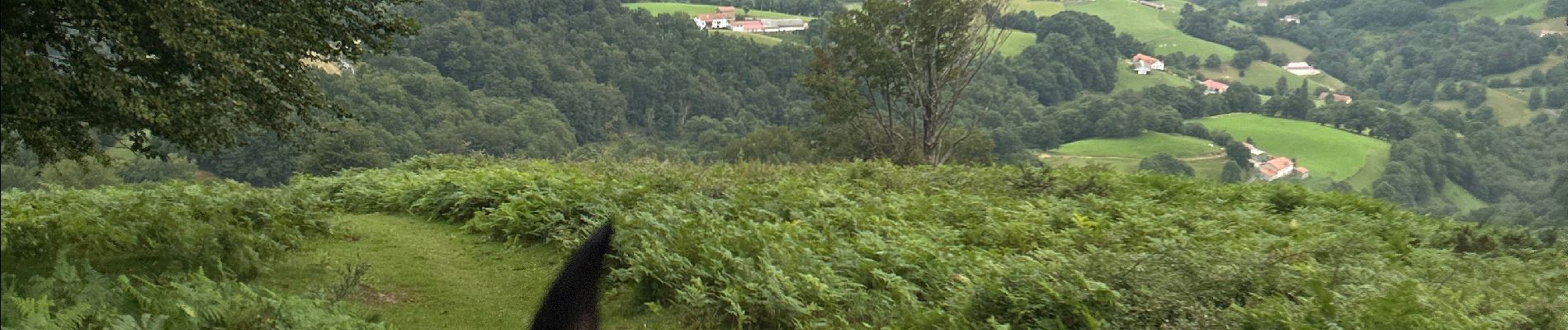 Excursión Paseo ecuestre Burguete - 2023 R2 J1 - Photo