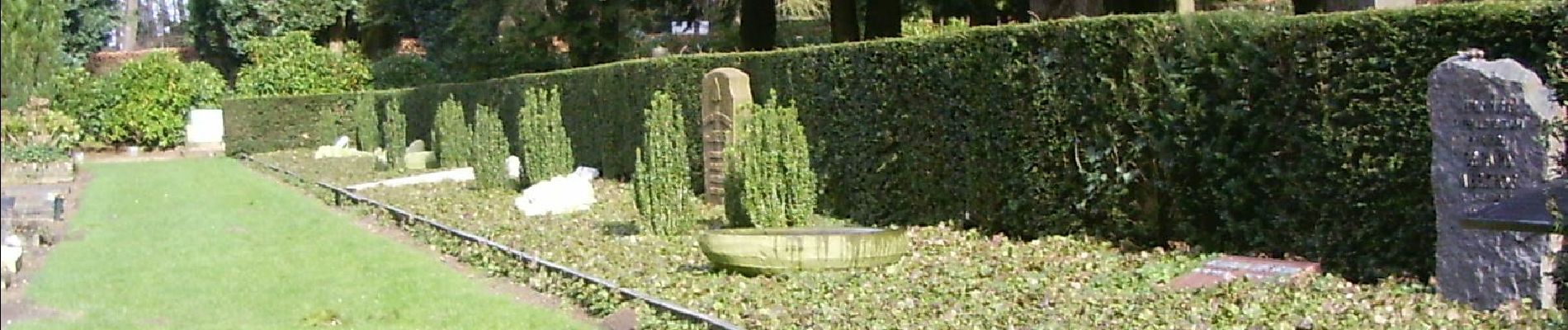 Tour Zu Fuß Renkum - Lichtenbeek - Photo