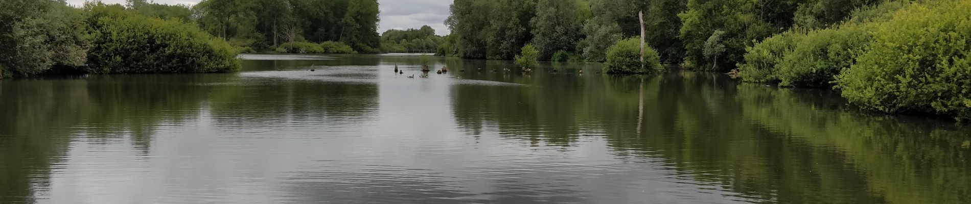 Trail Walking Fretin - les marais de la haute Marque - Photo