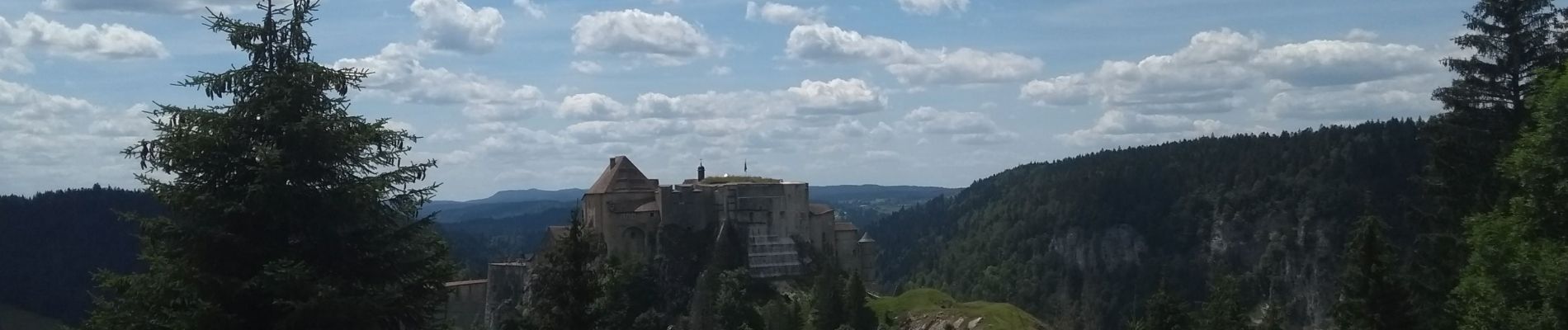 Trail Walking Les Alliés - GTJ Etape 9 : les Alliés - la Cluse et Mijoux - Photo