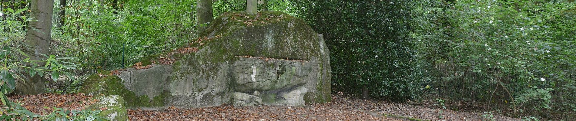 Tocht Te voet Buggenhout - Boskapel en omgeving - Photo