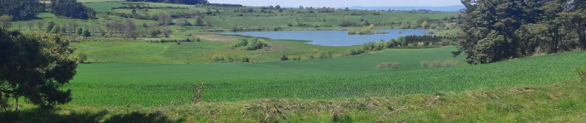 Tour Wandern Le Monastier-sur-Gazeille - Monastir bouchet - Photo