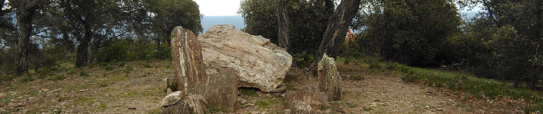 Percorso Marcia Roquebrune-sur-Argens - Les Issambres : Draille des roches - Dolmen - Photo