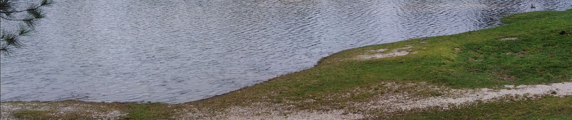 Tour Wandern Léognan - lac bleu - Photo