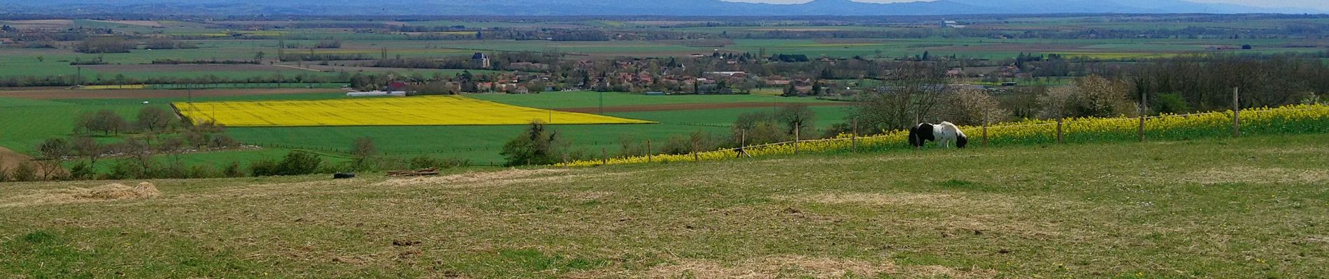 Randonnée Marche Mazerier - Les collines de Mazerier  - Photo