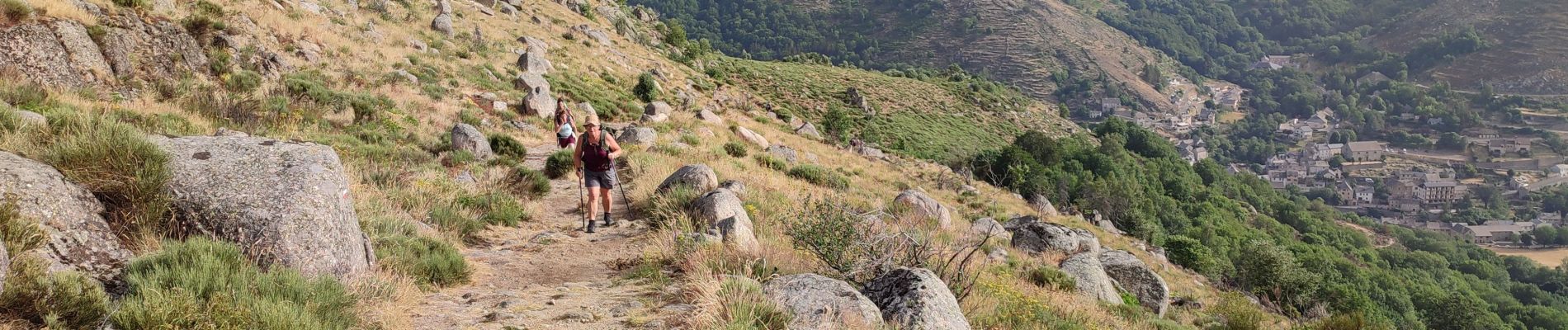 Tour Wandern Pont de Montvert - Sud Mont Lozère - Bédouès  - Photo