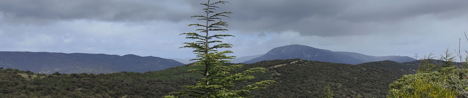 Excursión Senderismo Cucugnan - Château de Quéribus  - Photo