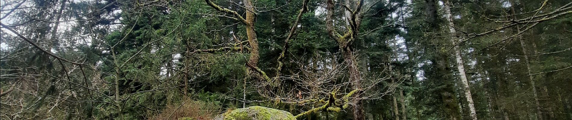 Tour Wandern Thiéfosse - gorges de Crosery  - Photo