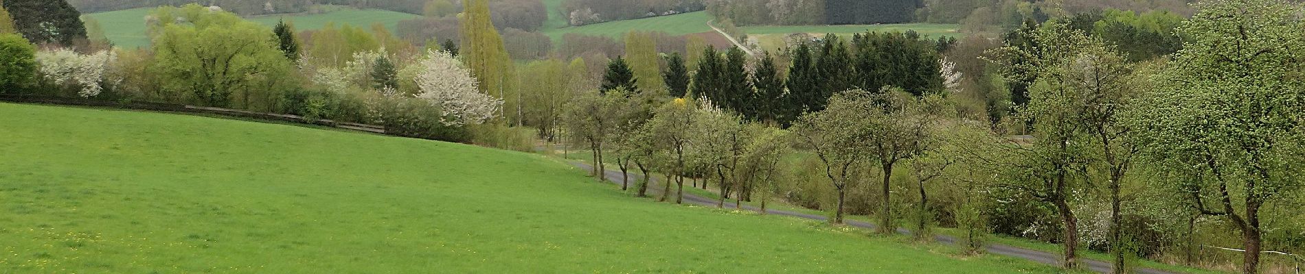 Tour Zu Fuß Künzell-Bachrain - Dietershausen Rundweg 6 - Photo