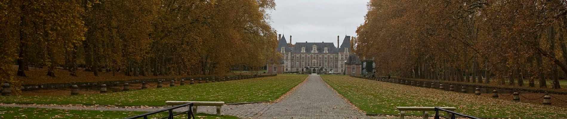 Trail On foot Moigny-sur-École - Chemin des Grés et des Bruyères - Photo