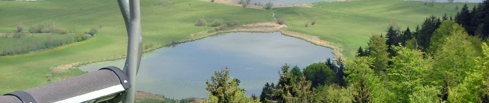 Randonnée A pied Immenstadt im Allgäu - Großer Alpsee Rundwanderweg - Photo