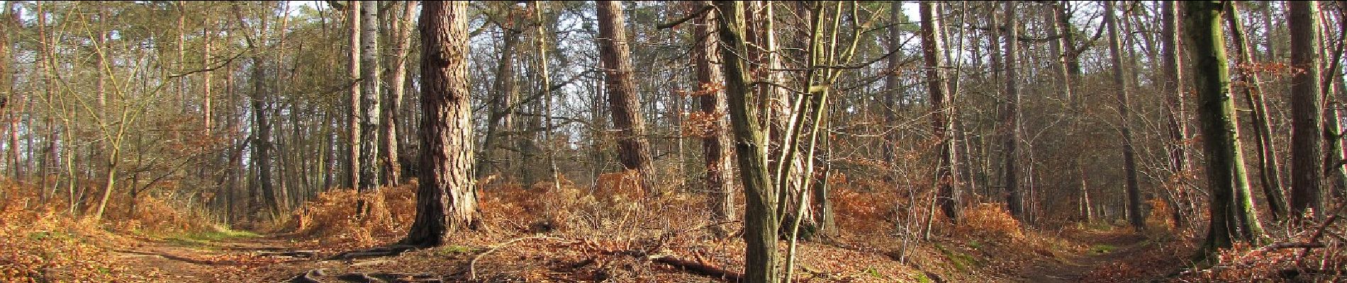 Punto de interés Tracy-le-Mont - Point 18 - Photo