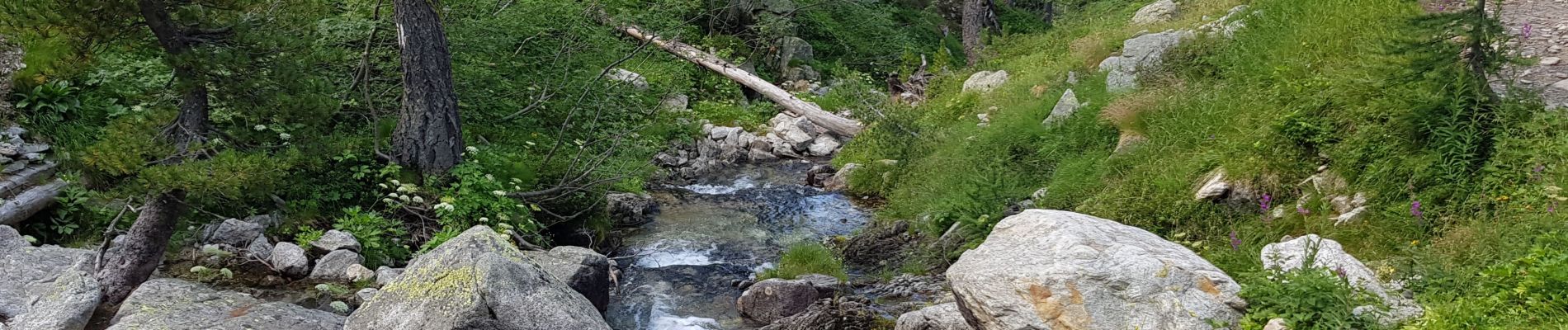 Tocht Stappen Saint-Martin-Vésubie - Lac Negre - Photo