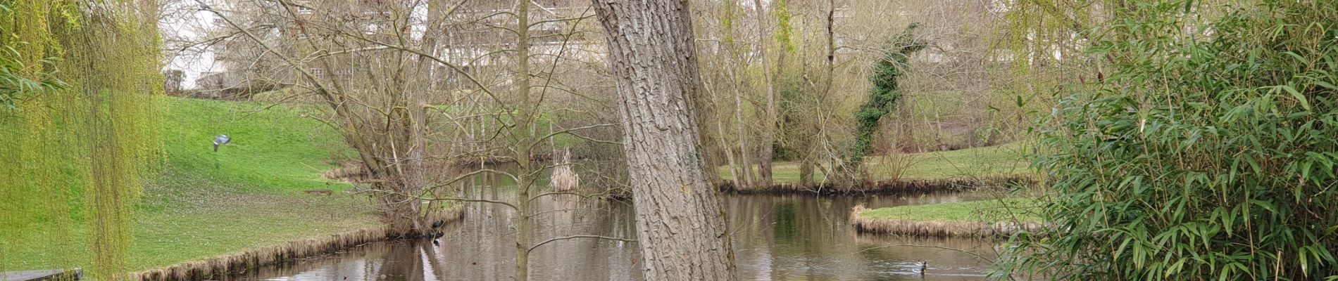 Excursión Senderismo Maurepas - marche 4 du 23 mars 2023 - Photo