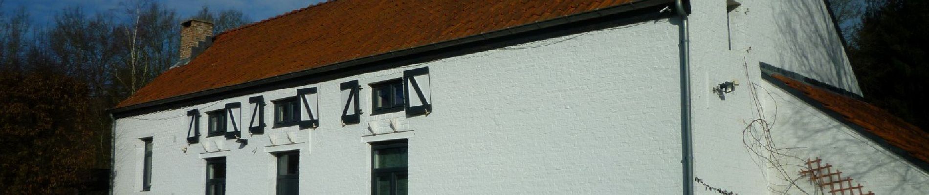 Tour Zu Fuß Tremelo - Laekdal Blauwe Rechthoek - Photo