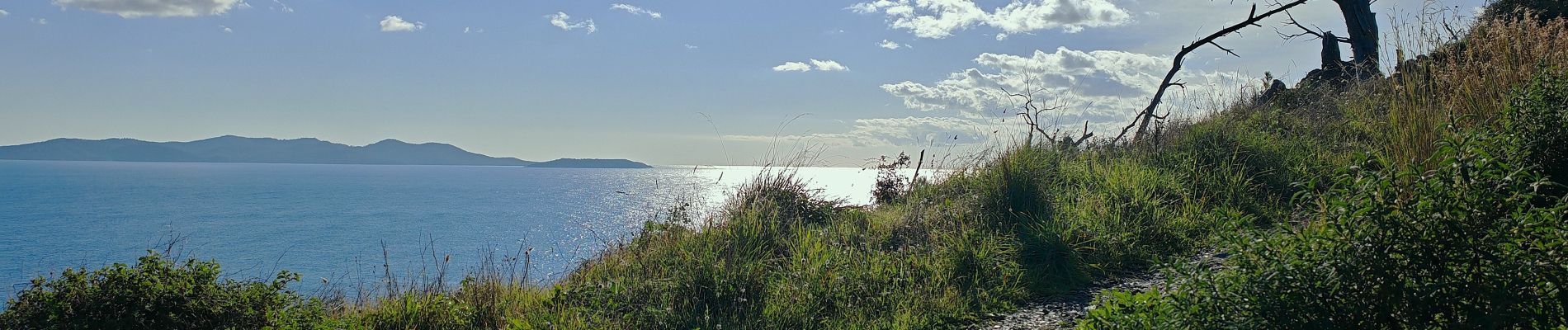 Randonnée Marche Bormes-les-Mimosas - benat reduit - Photo