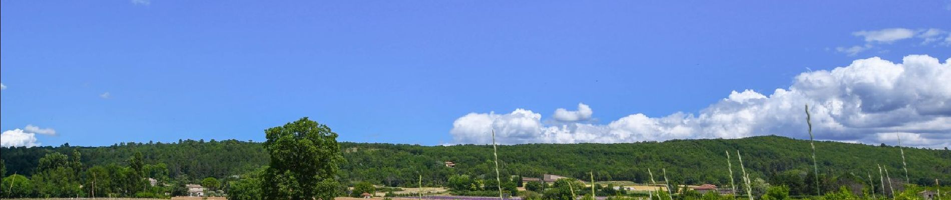 Randonnée Marche Espeluche - Le Huit d'Espeluche 7km4 - Photo